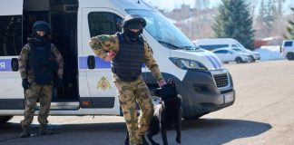 Полиция Татарстана наложила штраф на поставщика тест-тренингов для собак