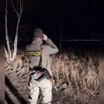 После атаки на домашних свиней в Забайкалье медведя застрелили охотники