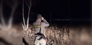После атаки на домашних свиней в Забайкалье медведя застрелили охотники