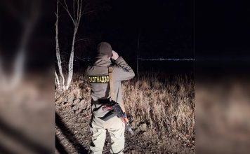 После атаки на домашних свиней в Забайкалье медведя застрелили охотники