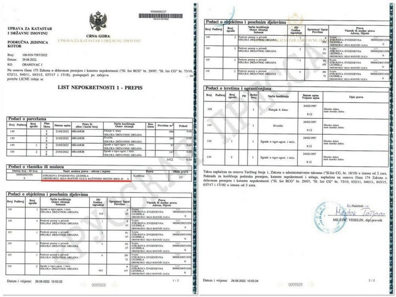 Тайные "иноактивы" Константина Струкова.