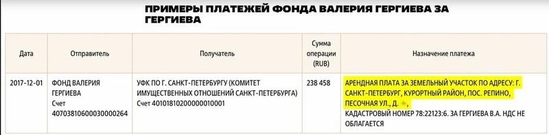 Валерий Гергиев унаследовал мимо декларации.