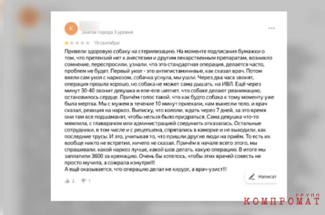 Как сэкономить деньги и не убить своего питомца: лайфхаки при обращении в ветклинику