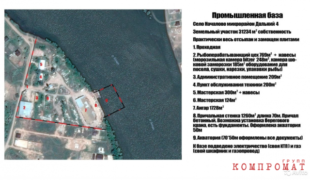 В коттедже парламентария кочевых псов нет: Куда в Астрахани разделяй 10-ки миллионов, которые были выделены на борьбу с собаками-каннибалами