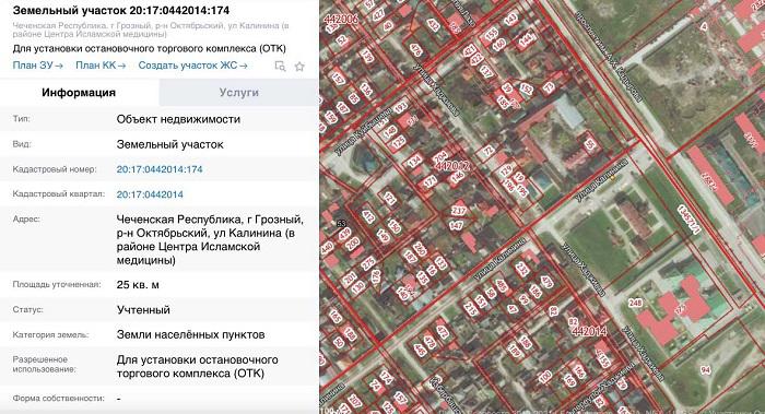Бесогоны Кадырова.