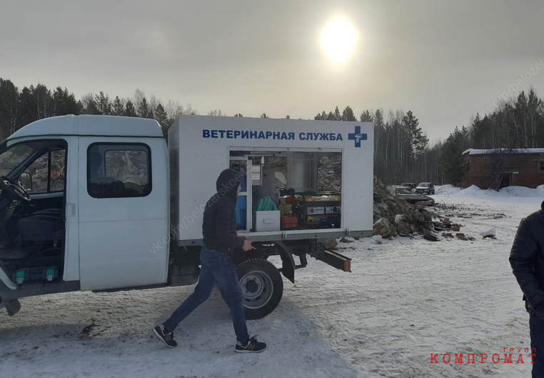 &laquo;Экоцентр&raquo; превращает Зауралье в скотомогильник. Тонны биоотходов утилизируют фирмы со шлейфом претензий от надзоров