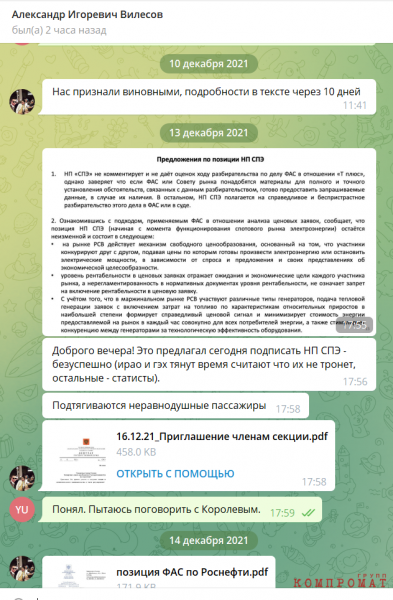 Радужная удаль чубайсовского лоббиста Юрия Удальцова