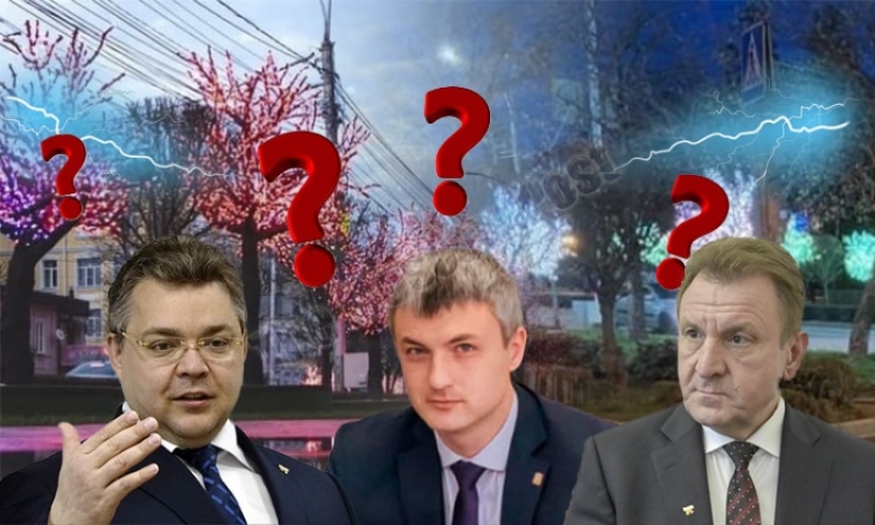 Волшебство-деревья либо в чей карман летят миллионы Ставрополя