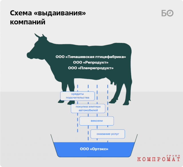 &laquo;С&nbsp;Тукаева потребуют все золото, вплоть до&nbsp;коронок на&nbsp;зубах&raquo;