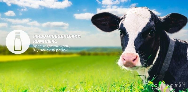 Депутатские закрома. Виктор Зубарев: мастодонт без авторитета в политической среде