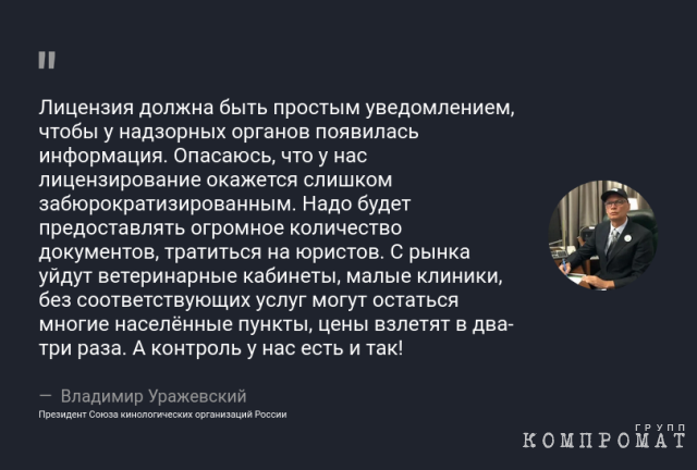 Как сэкономить деньги и не убить своего питомца: лайфхаки при обращении в ветклинику