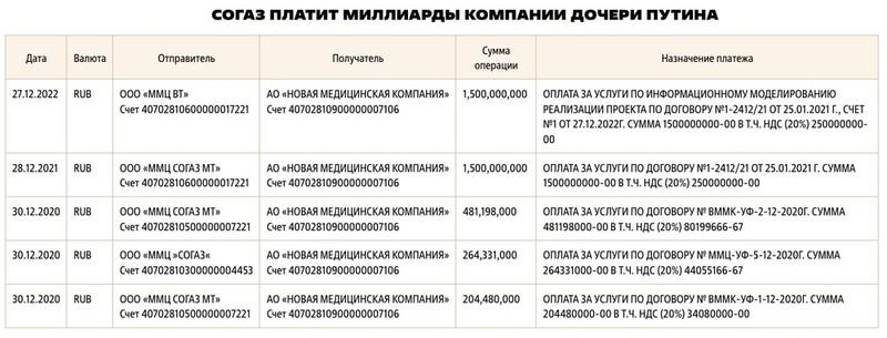 Чем владеет Мария Воронцова (Путина).