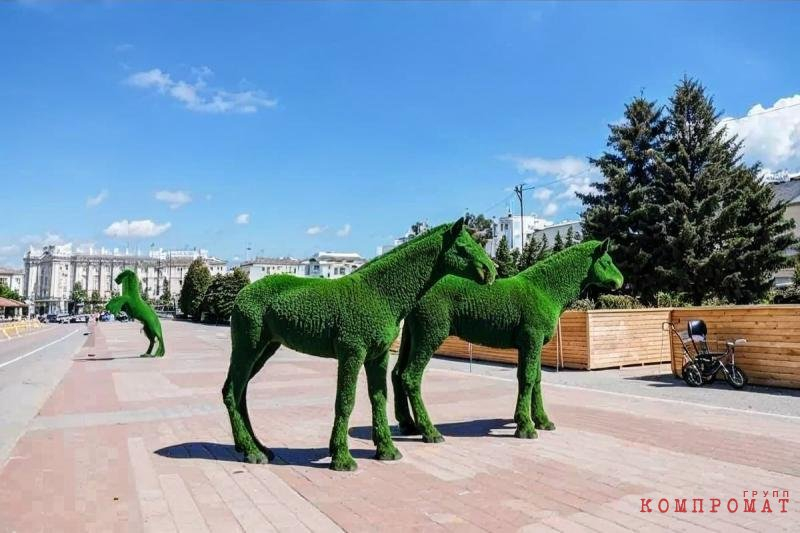 Игоревы конюшни, или Летняя неплощадь Советов