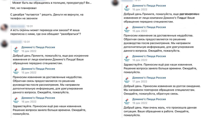 Domino&rsquo;s Pizza в Российской Федерации практически должник