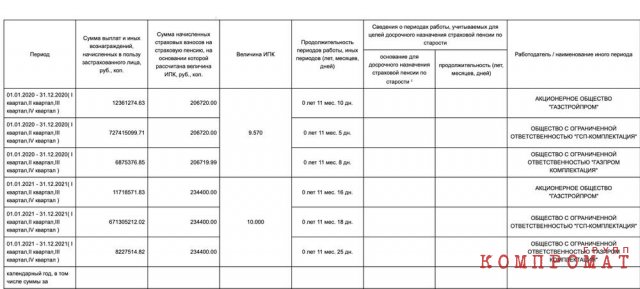 Дворцы в Подмосковье, виллы и коттеджи в Сочи, отели в Геленджике и на Алтае, сотни квадратных метров с крышей в Питере