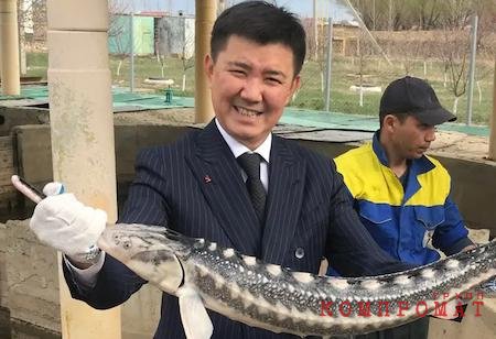 Козыряя связями в АП и ВС Казахстана, Данияр обещал "отмазать" попавшегося на взятке КНБшника, но кинул его на $50 тыс.