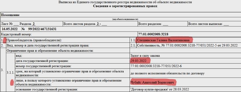 Чубайс разложил активы по разным челябинцам.