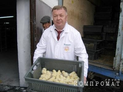 Экс-сенатор в бытность главой птицефабрики "Чувашский бройлер" выдал более 100 млн руб. заведомо невозвратных займов фирмам-"пустышкам"