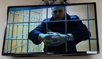 Не сидят без дела: