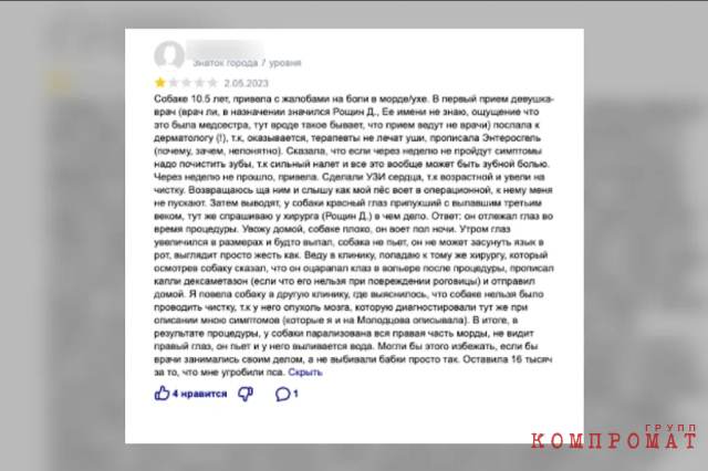 Как сэкономить деньги и не убить своего питомца: лайфхаки при обращении в ветклинику