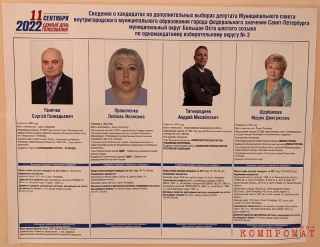 Как семья главы Красногвардейского района Петербурга разжилась недвижимостью на 130 млн руб.