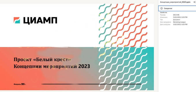Дочь главу Минобороны пустилась во все тяжкие