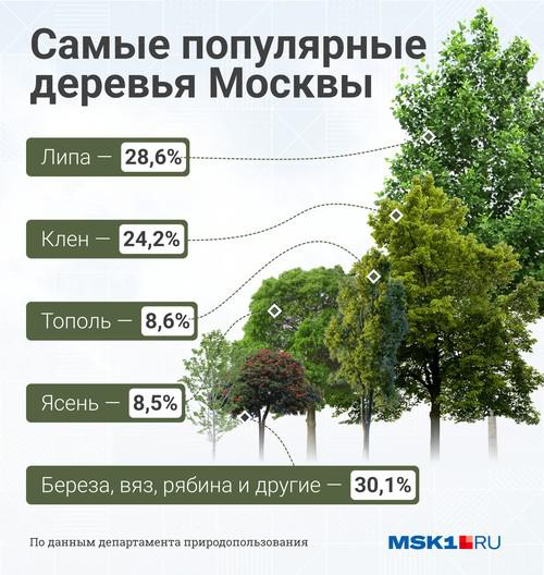 Константин Голощапов стрижет бюджет Москвы.