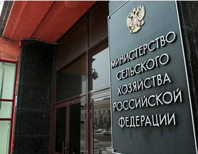 Молчание телят