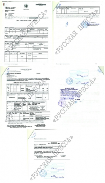Тайные "иноактивы" Константина Струкова.