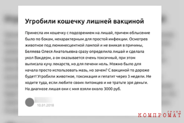 Как сэкономить деньги и не убить своего питомца: лайфхаки при обращении в ветклинику