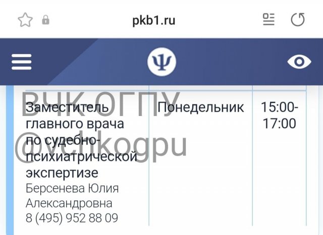 Тайная жизнь Чайки