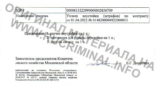 Чиновника, севшего за коррупцию, вновь пустили к бюджету