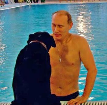 Семейное достояние Алексея Миллера на 43 млрд руб.