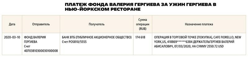 Валерий Гергиев унаследовал мимо декларации.