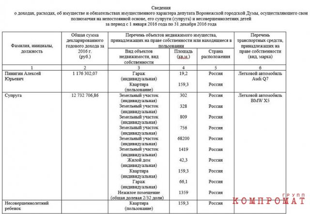 Вице-спикера думы Воронежа приняли за покровителя