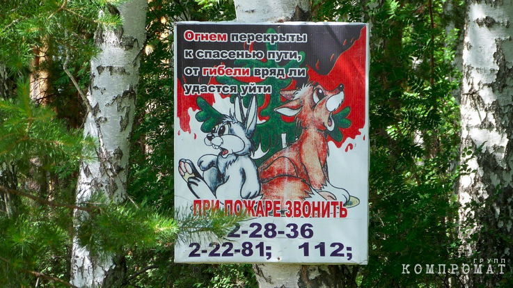 Минприроды РФ пожалело денег на заповедник «Юганский» в ХМАО. Авиаторы идут в суд и говорят о последствиях