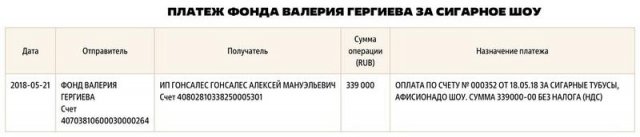 Земли, дома, парки и другая недвижимость в Италии на &euro;100 млн для главы Мариинки от поклонницы