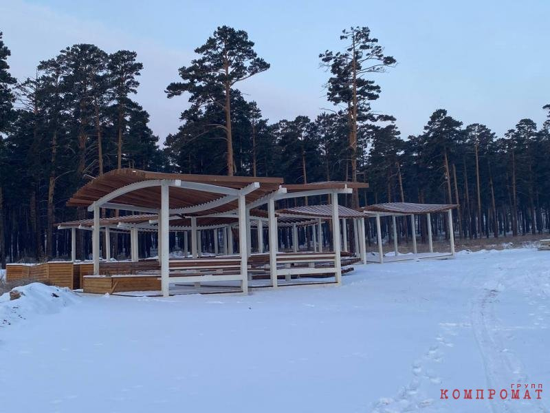 Игоревы конюшни, или Летняя неплощадь Советов
