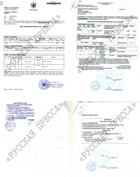 Тайные "иноактивы" Константина Струкова.