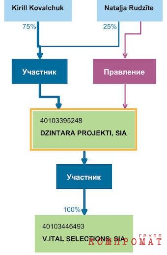 Большевик с особняком. Бывший глава "Национальной медиа группы" и приближенный Ковальчука сменил гражданство и поселился в Испании
