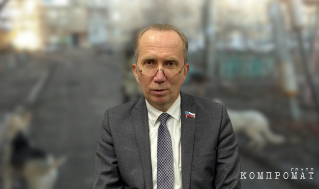 В коттедже парламентария кочевых псов нет: Куда в Астрахани разделяй 10-ки миллионов, которые были выделены на борьбу с собаками-каннибалами