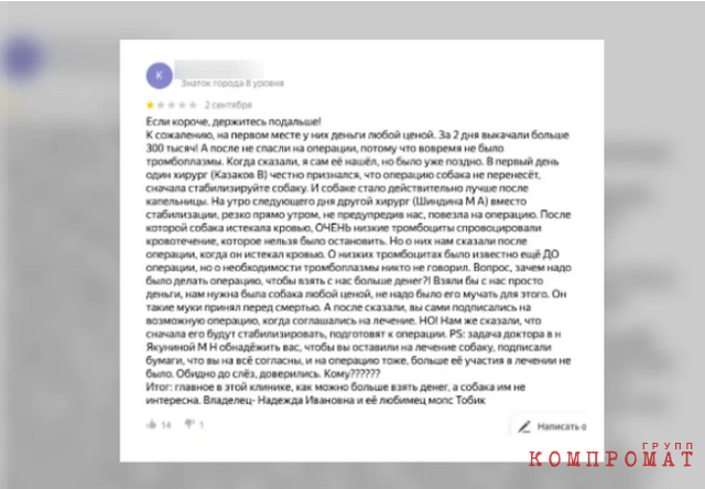 Как сэкономить деньги и не убить своего питомца: лайфхаки при обращении в ветклинику