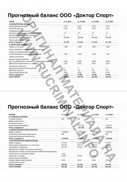 «Нью-Васюки» от клана Ротенбергов