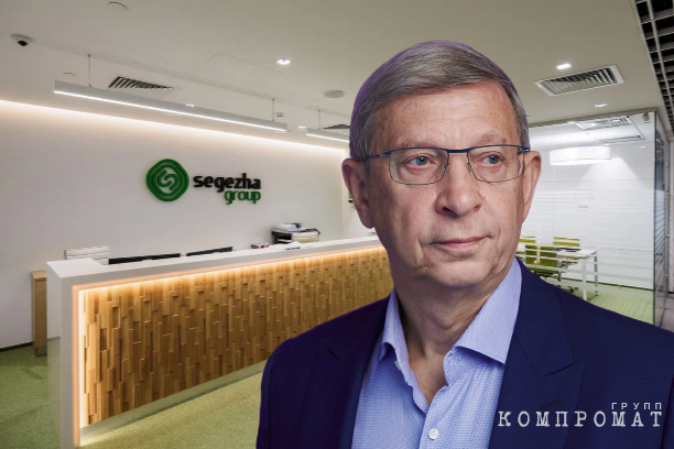 &laquo;Фанерные&raquo; схемы &laquo;Segezha Group&raquo;