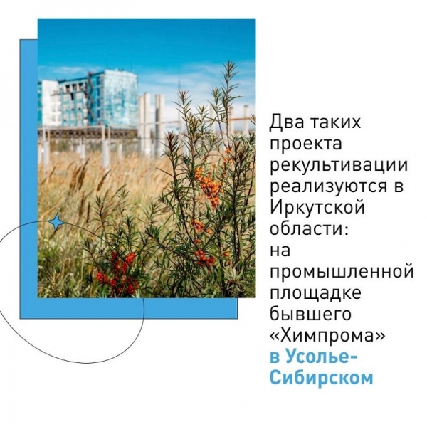 И забавно, и обидно: «Усольехимпром» на выставке охраны окружающей среды
