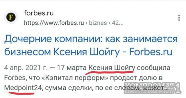 Максим Владимиров: как судимый коллектор из Биробиджана стал кандидатом на руку и сердце дочери Шойгу