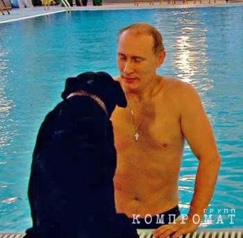 Дворцы в Подмосковье, виллы и коттеджи в Сочи, отели в Геленджике и на Алтае, сотни квадратных метров с крышей в Питере