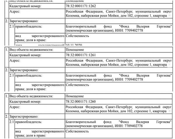 Валерий Гергиев унаследовал мимо декларации.