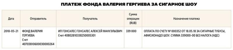 Валерий Гергиев унаследовал мимо декларации.