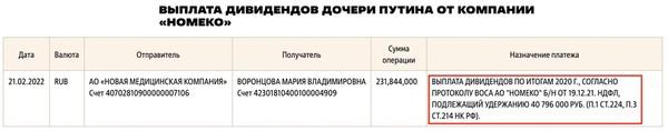 Чем владеет Мария Воронцова (Путина).
